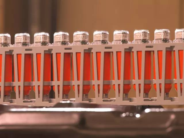 Field photo 2 - crew at work